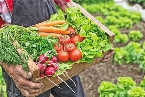 Ketogenic Diet Keto Menu