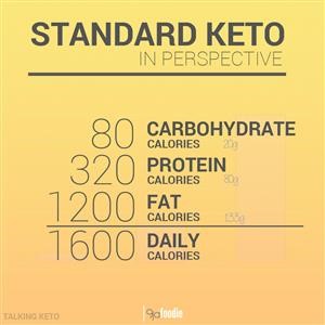 Vegetarian Keto Diet Menu for Beginners